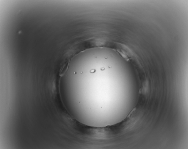 X0000089830524200707051041