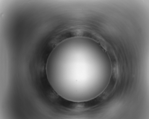 X0000089830525200707051041