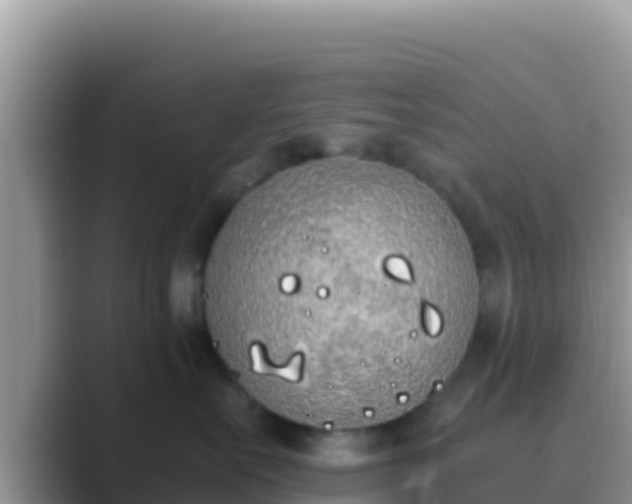 X0000089830527200707051041