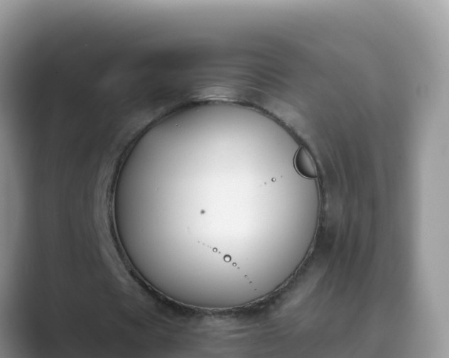 X0000089830529200707051040