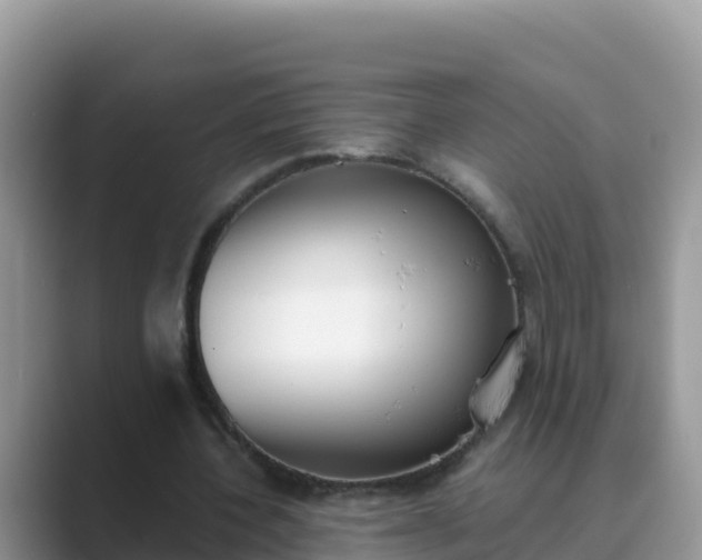 X0000089830532200707051040