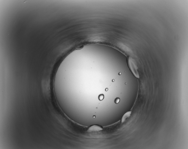 X0000089830535200707051040