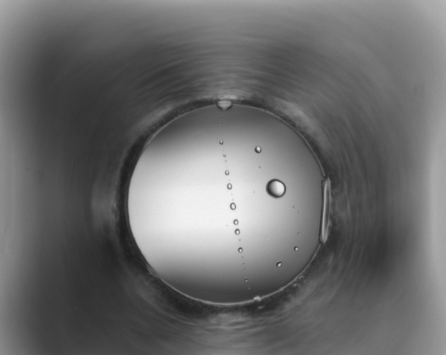 X0000089830536200707051040