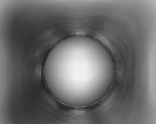 X0000089830537200707051040