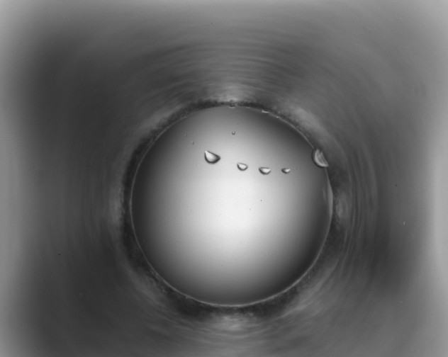 X0000089830540200707051040