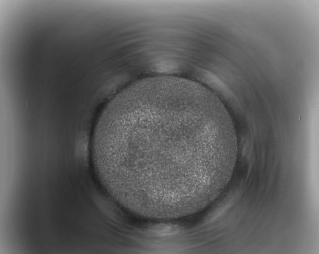 X0000089830542200707051040