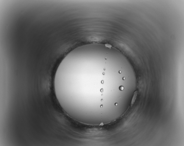 X0000089830544200707051040