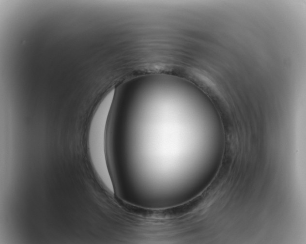 X0000089830546200707051040