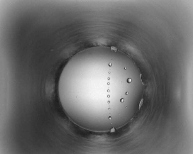 X0000089830548200707051040