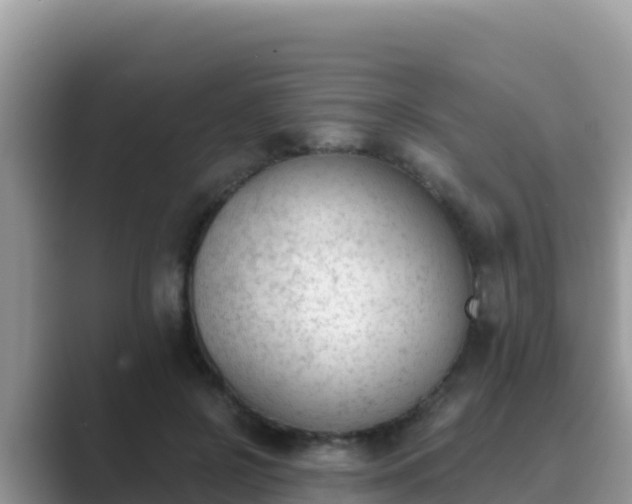 X0000089830550200707051040