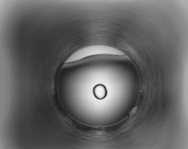 X0000089830552200707051040