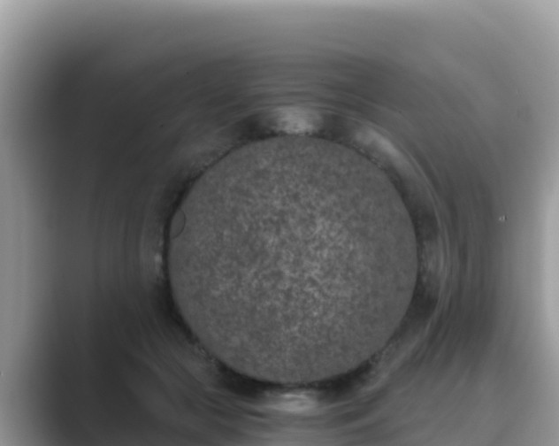 X0000089830553200707051040