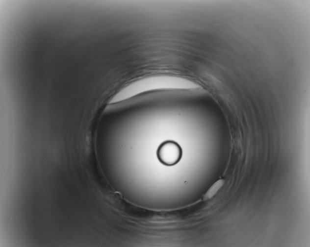 X0000089830556200707051040