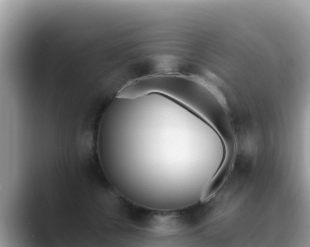 X0000089830560200707051041