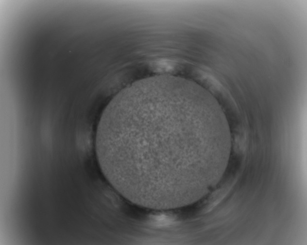 X0000089830561200707051041