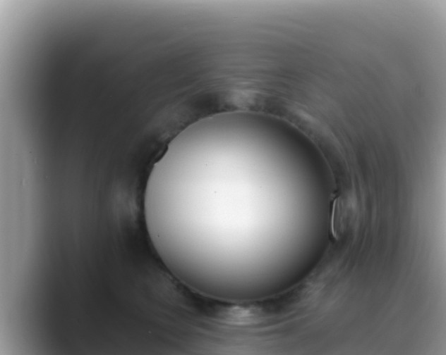 X0000089830566200707051041