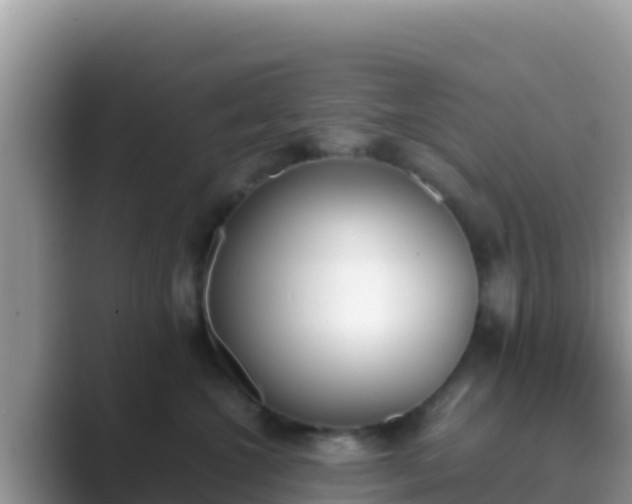 X0000089830572200707051041