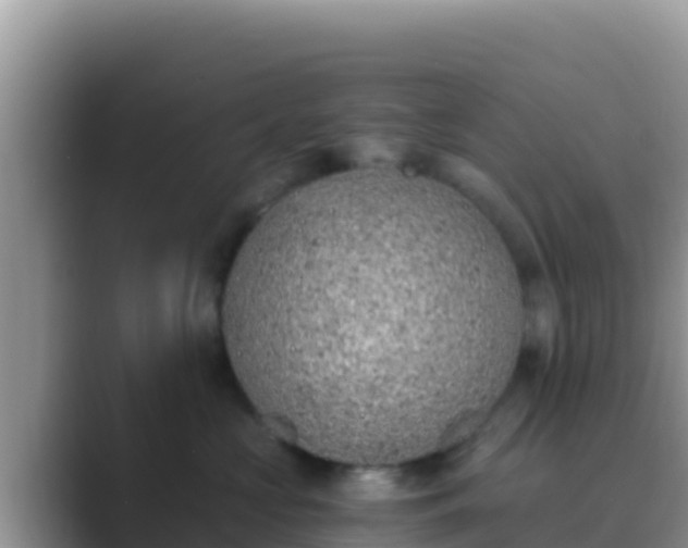 X0000089830573200707051041