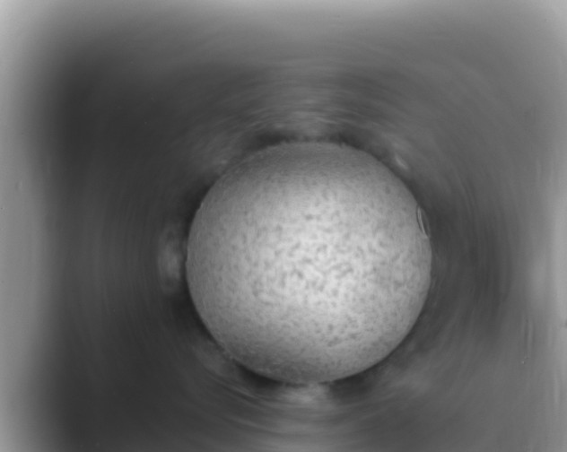 X0000089830576200707051041