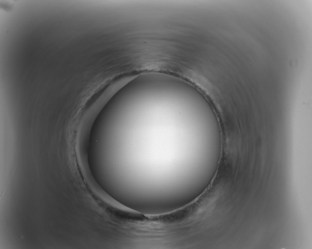 X0000089830577200707051040