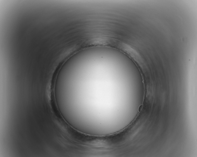 X0000089830578200707051040