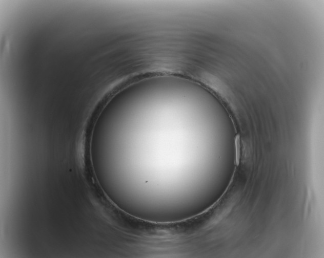 X0000089830580200707051040