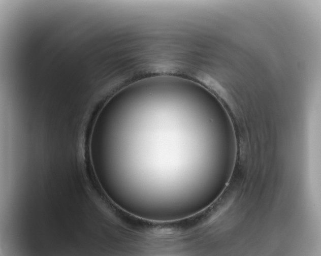 X0000089830581200707051040