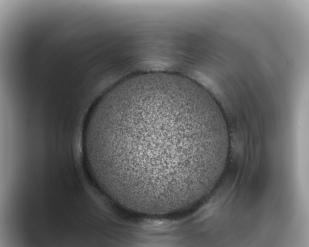 X0000089830582200707051040