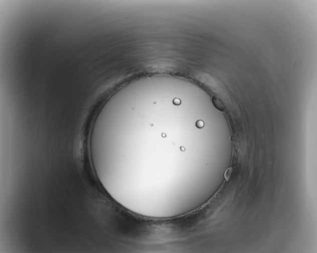 X0000089830583200707051040