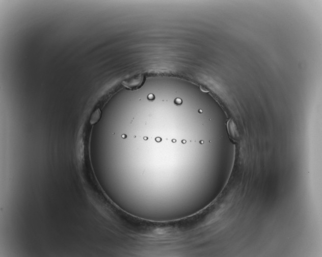 X0000089830584200707051040