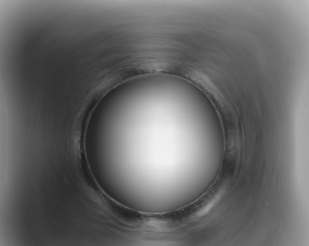 X0000089830585200707051040