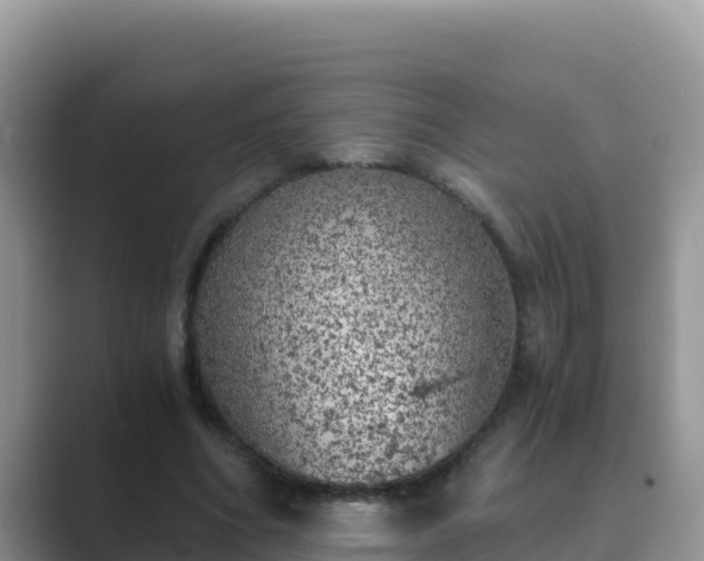 X0000089830586200707051040