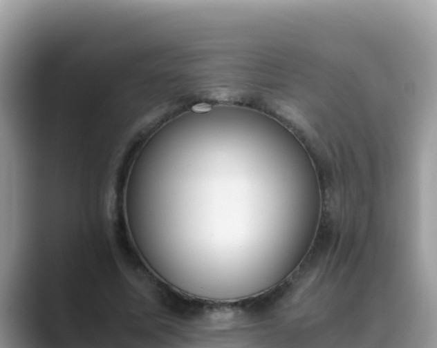 X0000089830587200707051040