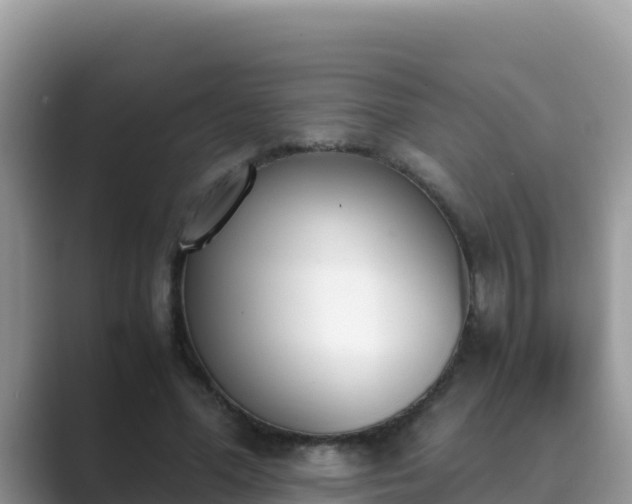 X0000089830588200707051040