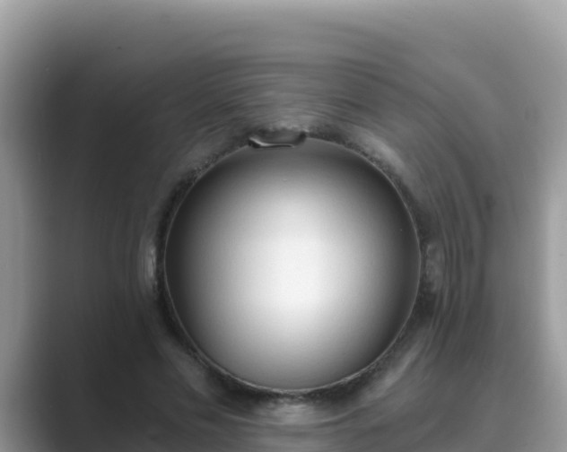 X0000089830589200707051040