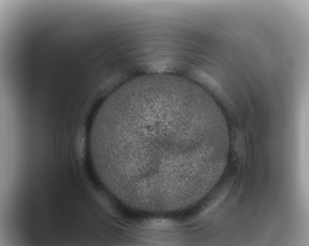 X0000089830590200707051040