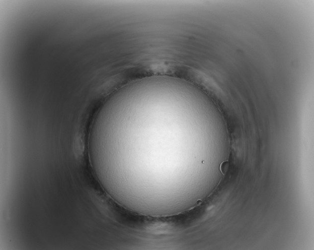 X0000089830593200707051040