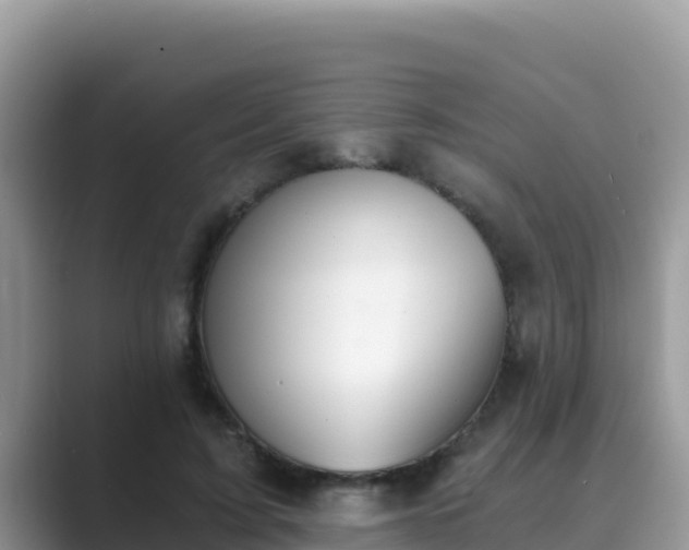 X0000089830595200707051040