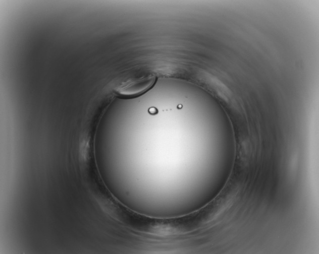 X0000089830596200707051040