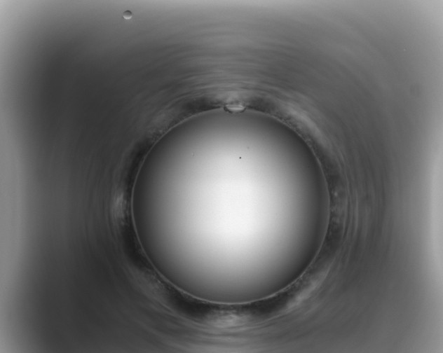 X0000089830597200707051040