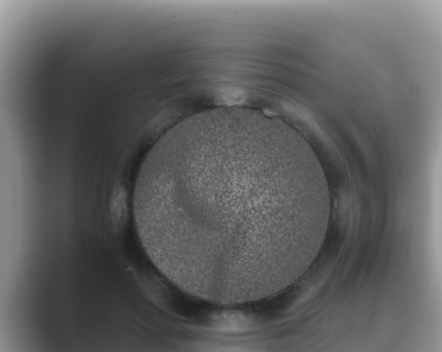 X0000089830598200707051040