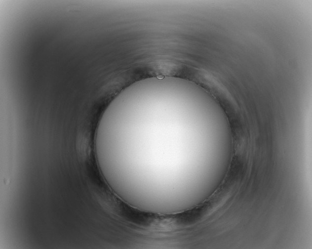 X0000089830599200707051040