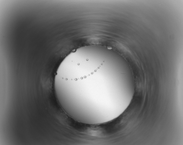 X0000089830603200707051040