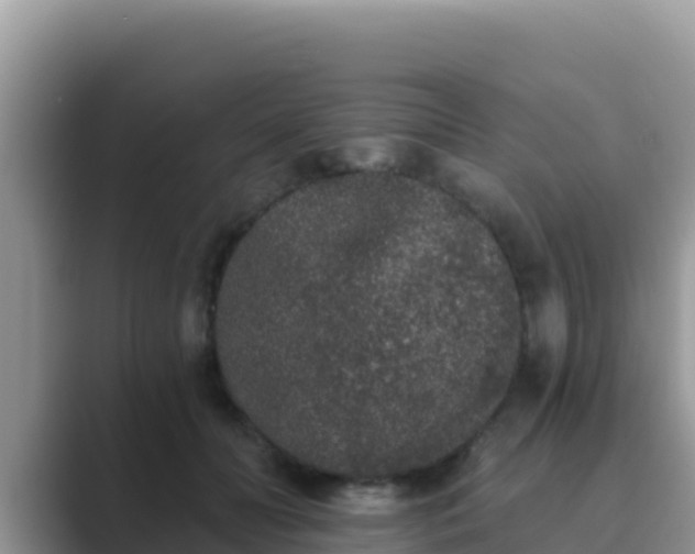 X0000089830606200707051040