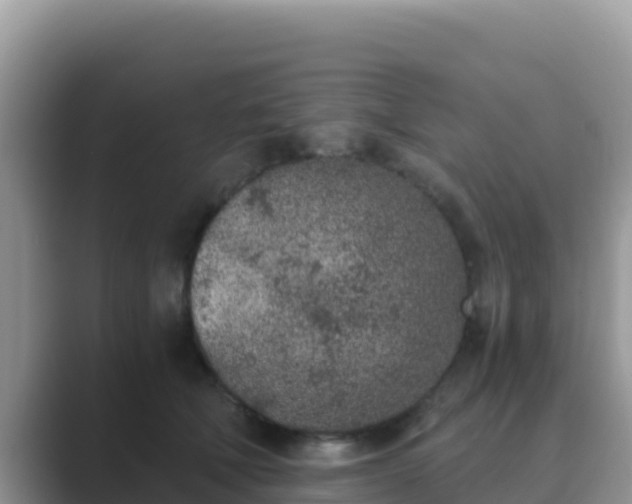 X0000089830610200707051040