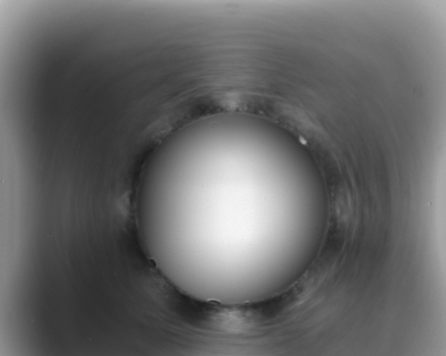 X0000089830611200707051040