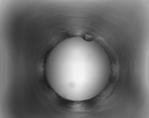 X0000089830612200707051040