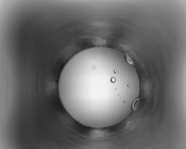 X0000089830614200707051040