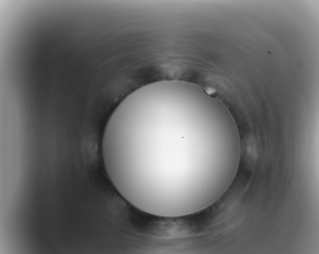 X0000089830615200707051040