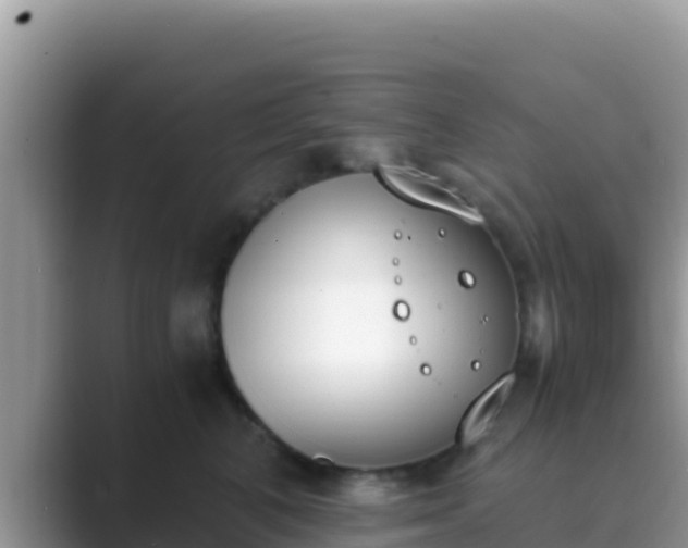 X0000089830616200707051040